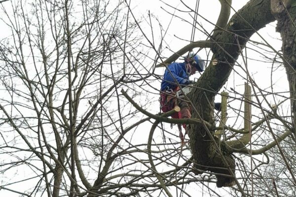 0622ab4c-7545-438a-b827-626872864ff4