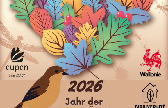 11_Visuell 2026 Baumverteilung