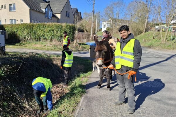 23e3543b-07ab-4ef9-8e67-4dd238630e05