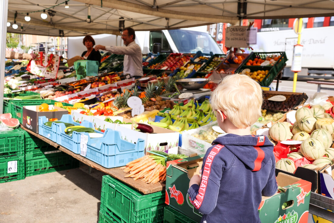 493807433_1131723965651444_2215315220820468568_n