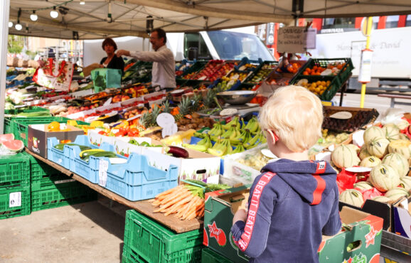 493807433_1131723965651444_2215315220820468568_n