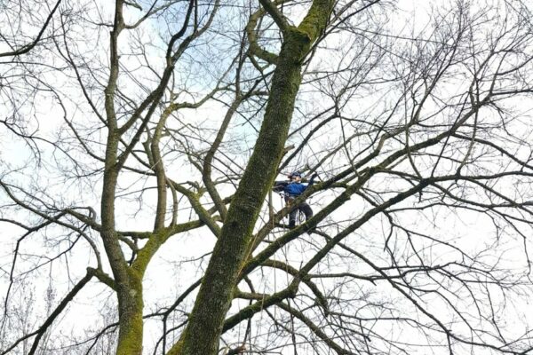 8e433def-e5f1-4efd-87eb-d2429b3ca14d