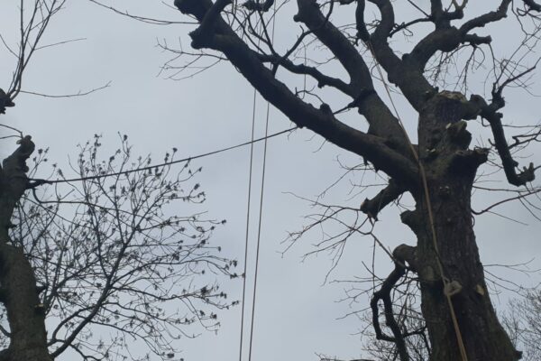 be8dea17-9f12-46fe-b6b1-28339a6c6710