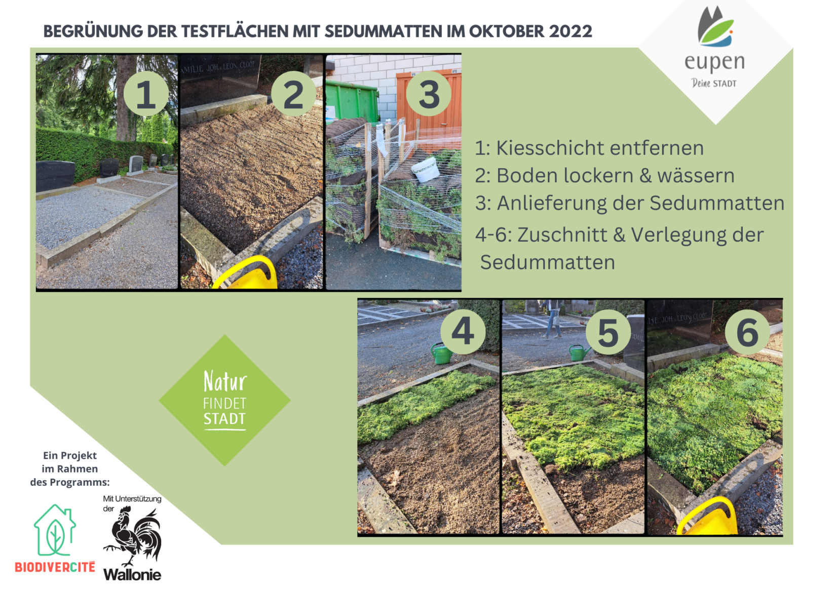 Bepflanzung Friedhof