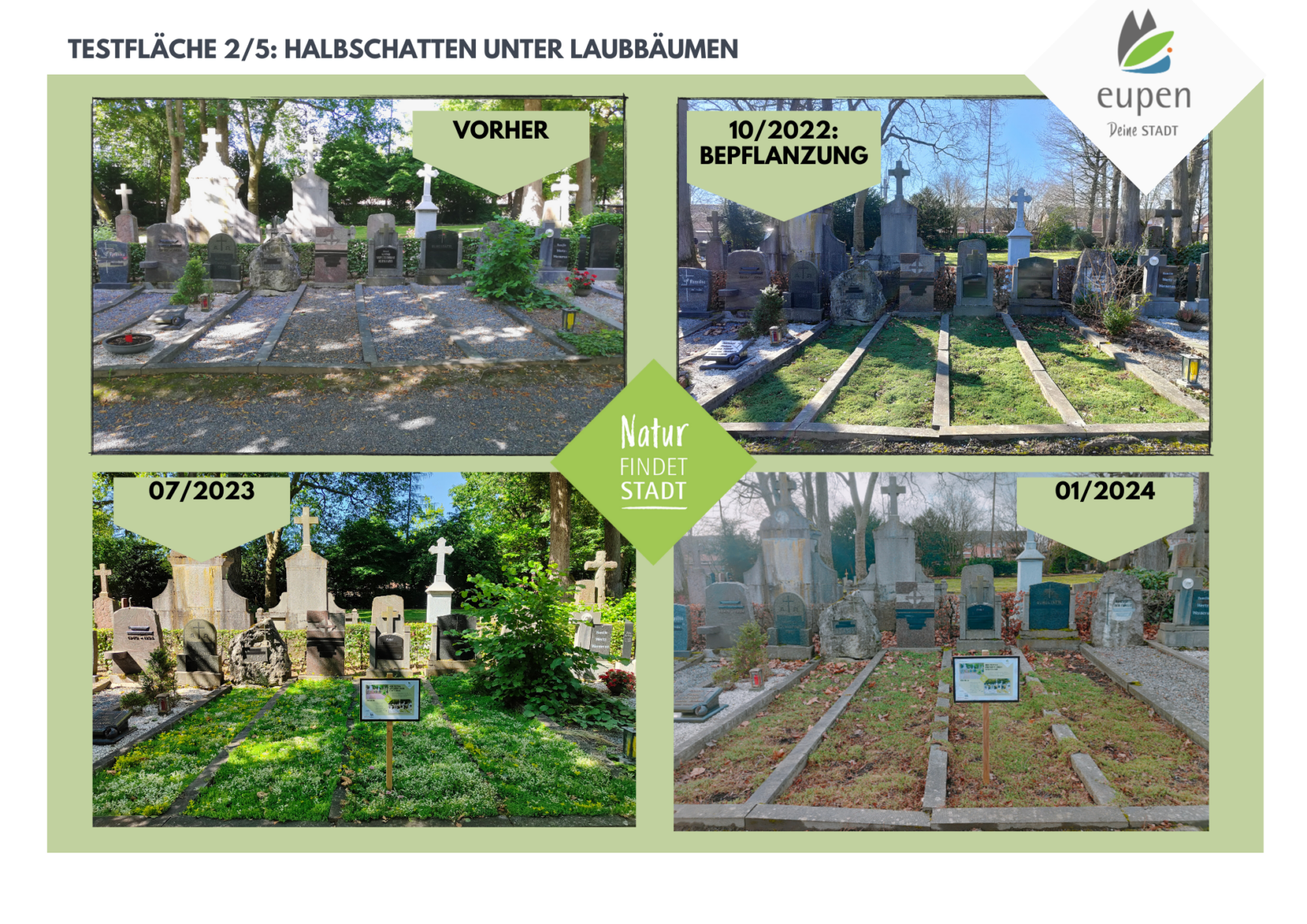 biodivercite-friedhof-entwicklung-flaeche-2