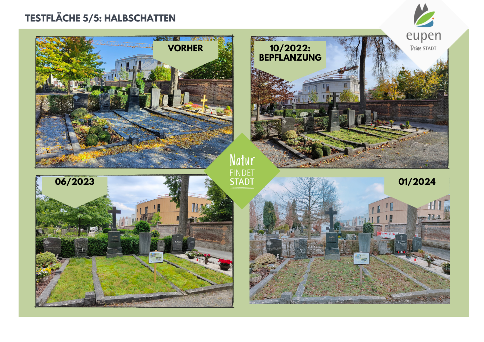 biodivercite-friedhof-entwicklung-flaeche-5