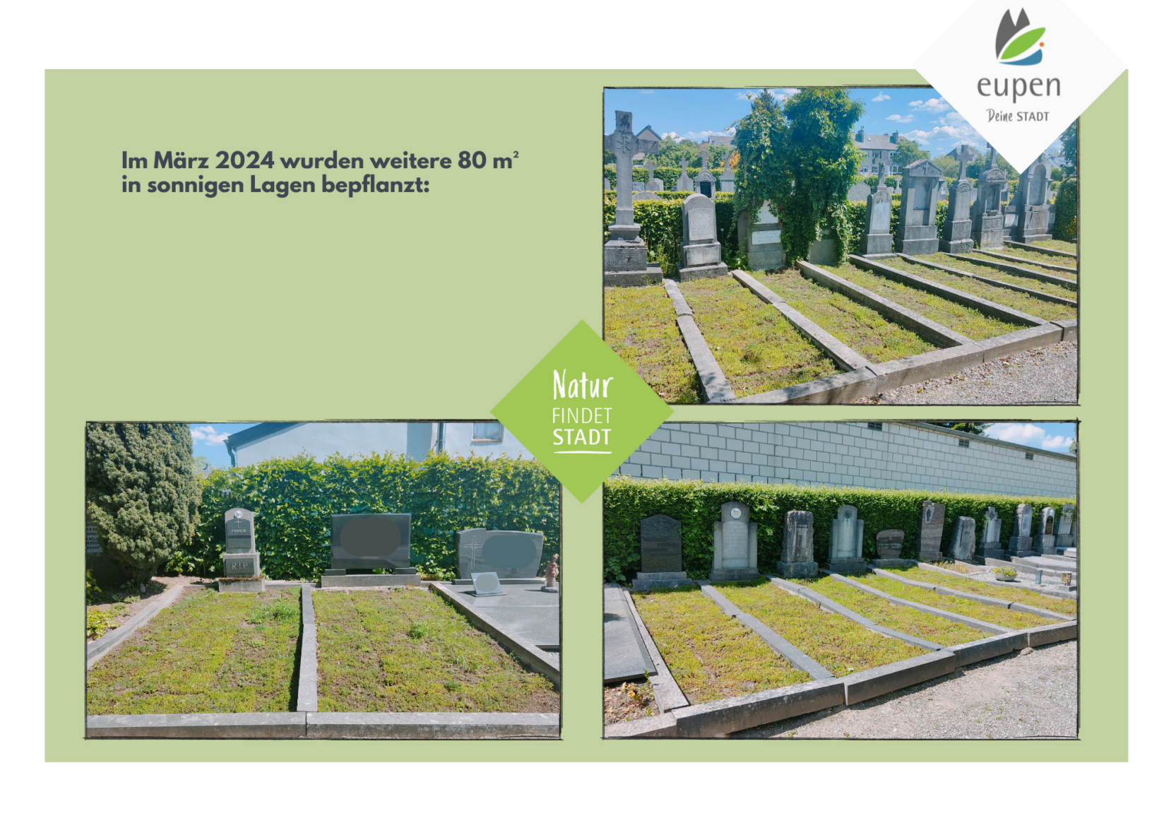 BiodiverCité Friedhof Neupflanzung 2024