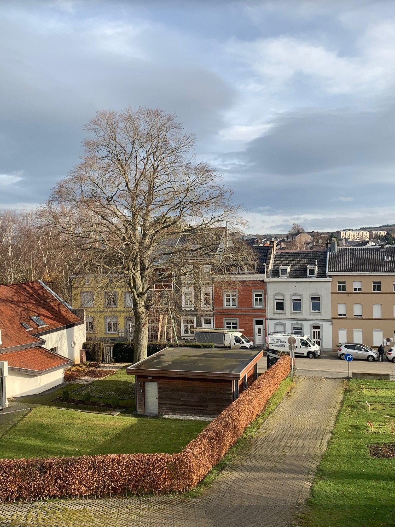 Leider muss die beachtliche Blutbuche gefällt werden. 