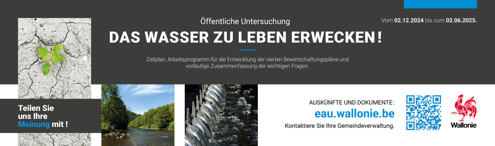 DE_Banners_web_EP_PGDH4