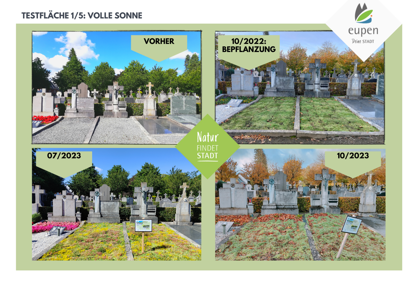 Entwicklung Fläche 1