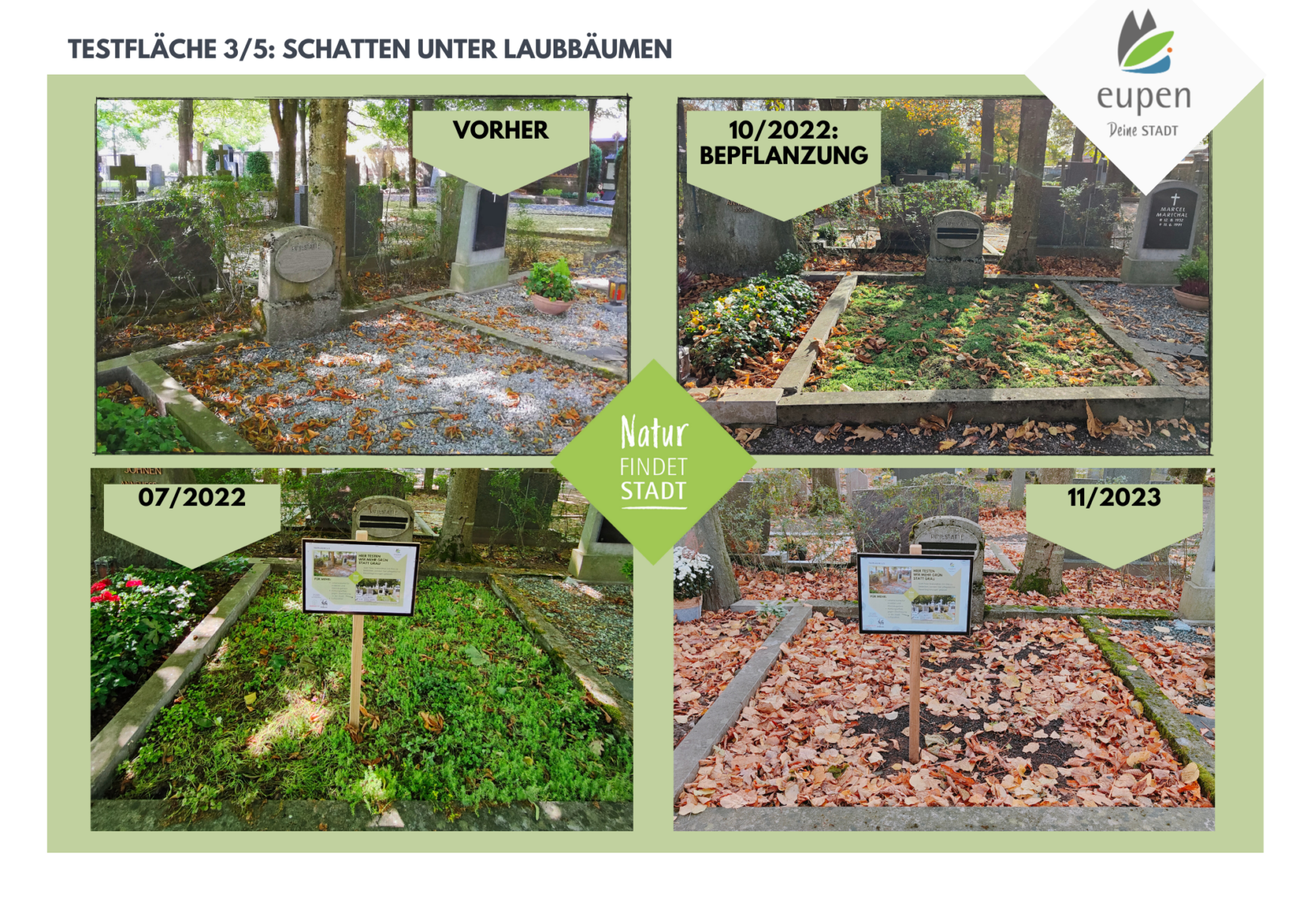 Entwicklung Fläche 3