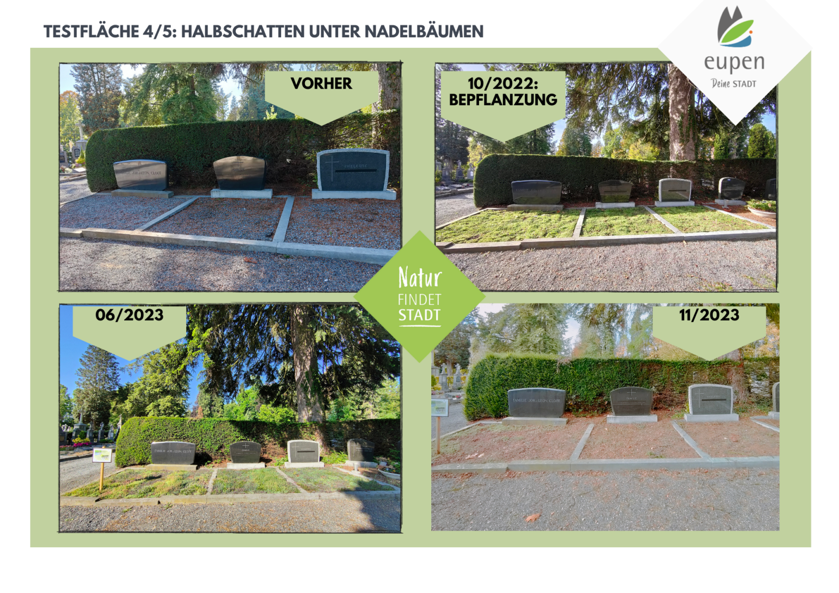 Entwicklung Fläche 4