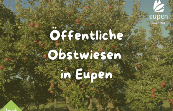 Facebookposts (1)