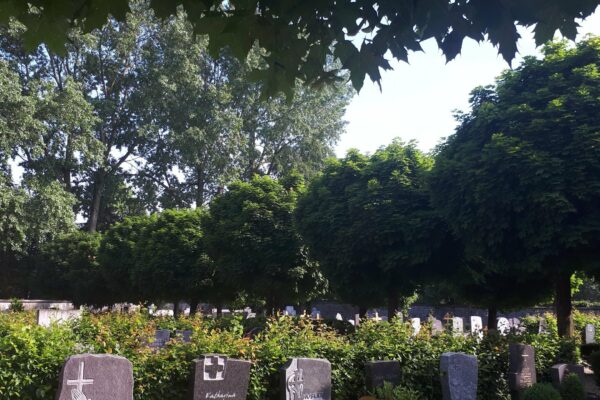 Friedhof Kettenis (8)