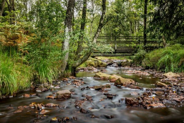 home_eupeninbildern_natur