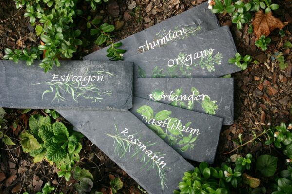 Haushaltskurse - Kräuterschilder