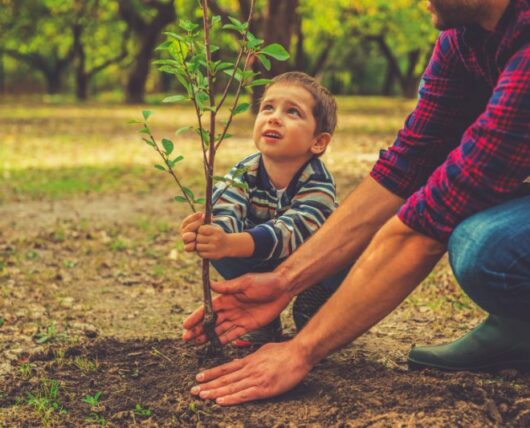 leben-in-eupen-uebersicht_2