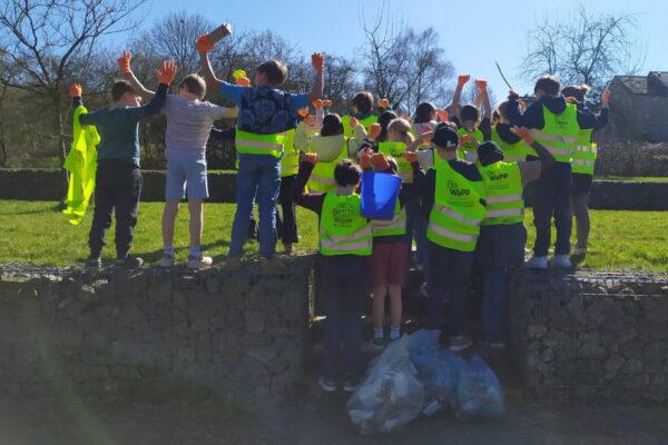 MicrosoftTeams-image (5)