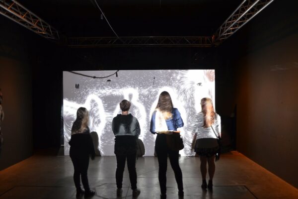 Synergie Kunst Festival_Simon Horsch