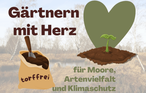 Torffrei - NEWS Bild