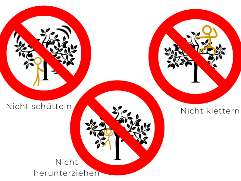 Verbote Obstwiesen (rote Kreise + text)