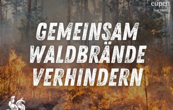 Waldbrände