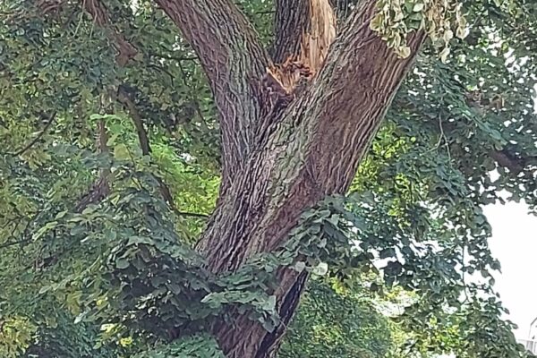 WhatsApp Image 2021-09-01 at 13.22.26