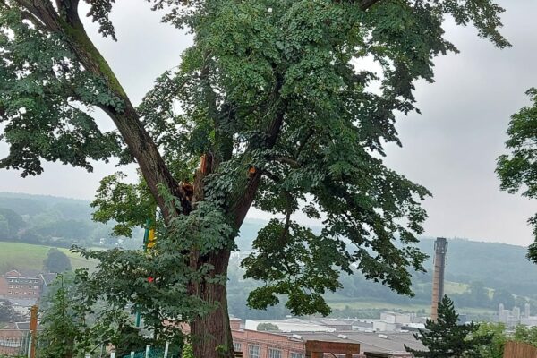 WhatsApp Image 2021-09-01 at 13.22.27 (1)