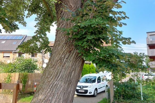 WhatsApp Image 2021-09-01 at 13.22.27