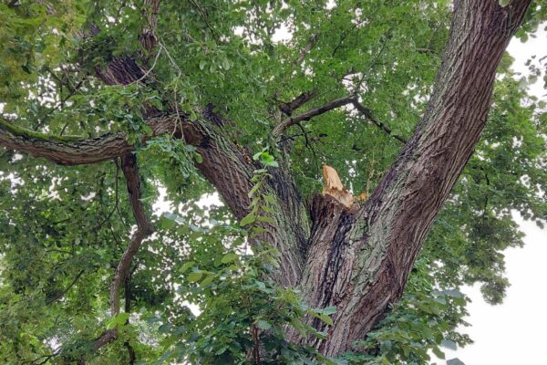 WhatsApp Image 2021-09-01 at 13.22.28 (1)