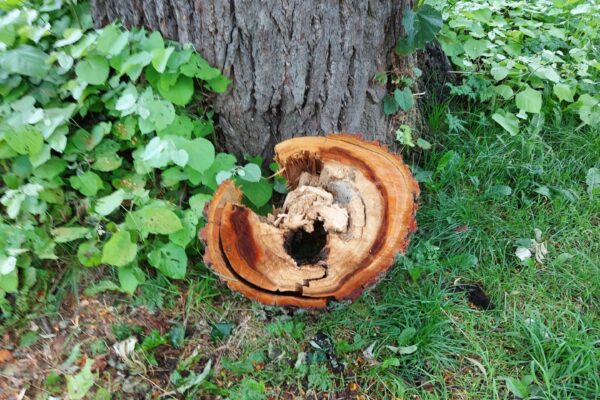 WhatsApp Image 2021-09-01 at 13.22.28