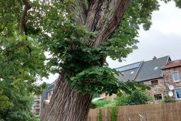 WhatsApp Image 2021-09-01 at 13.22.29